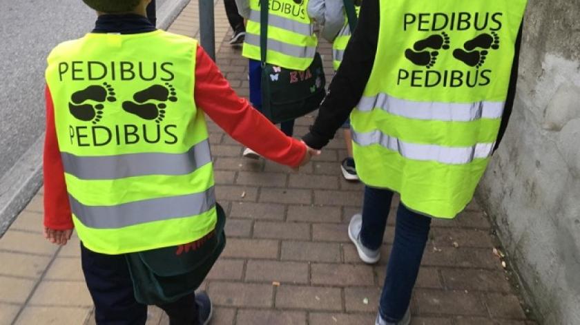 Arezzo Torna Il Pedibus Il Progetto Diventa Stabile E Parte Con Le