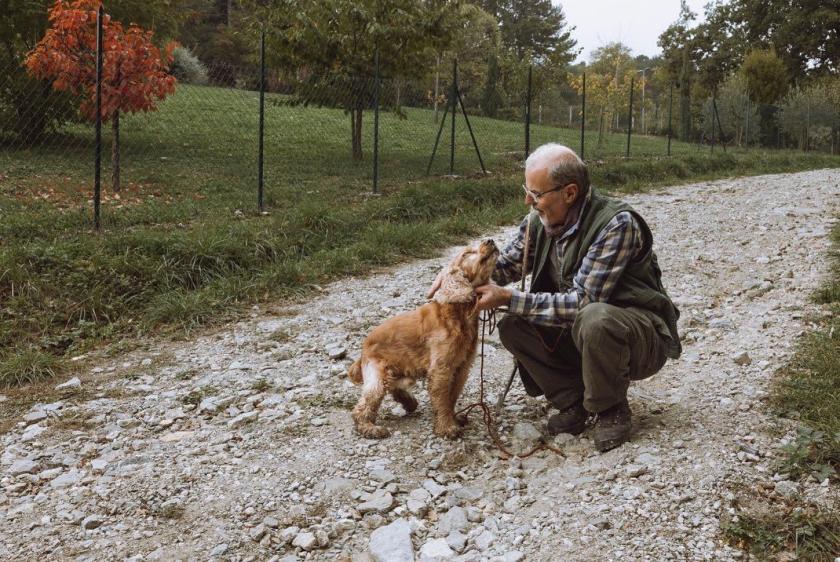 La bella storia di “Leo”, il cane che ha perso la vista ma continua a ...